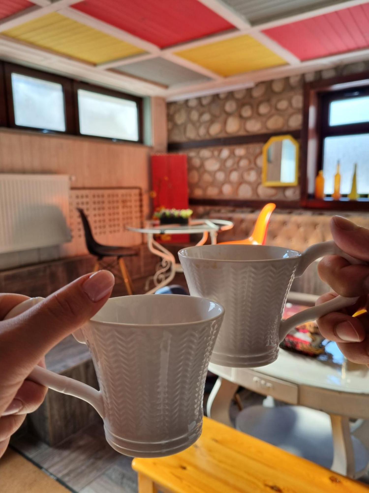 Villa Kaja 班斯科 外观 照片
